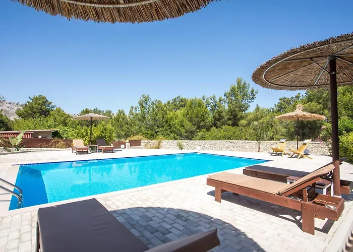 In The Woods * Kolymbia