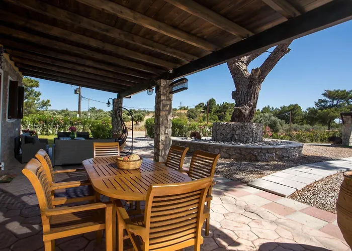 In The Woods * Kolymbia