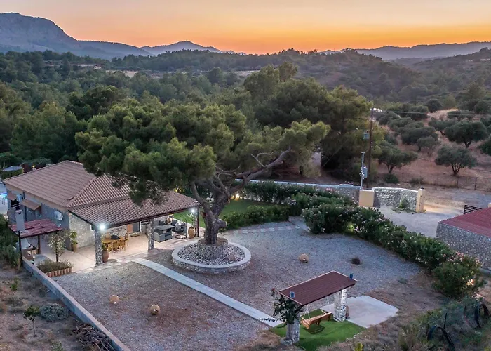 In The Woods Βίλα Κολύμπια