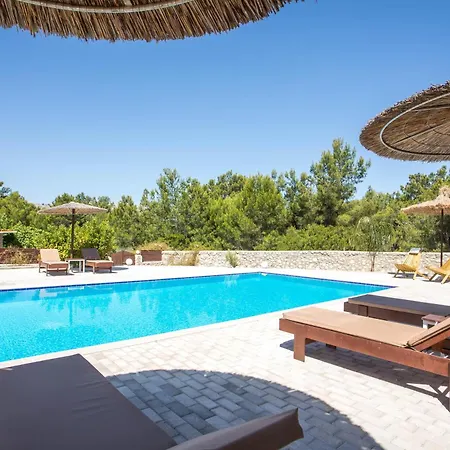 In The Woods * Kolymbia