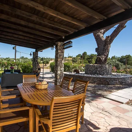 In The Woods * كولومبيا