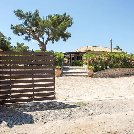 فيلة In The Woods