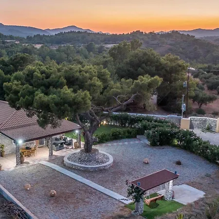 In The Woods فيلة كولومبيا