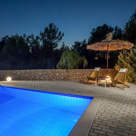 In The Woods * كولومبيا