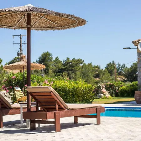 In The Woods * كولومبيا