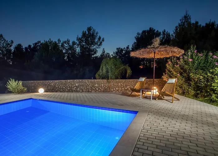 In The Woods * Колимбия